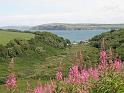 20100717b Dinas head rechts